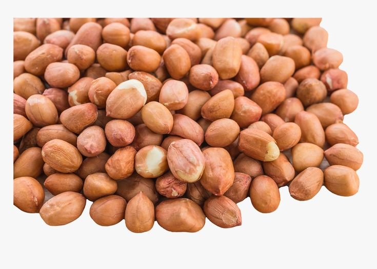 Peanut